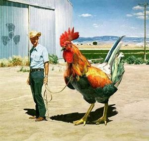 WeirdTexasTours.com - TravelLogos for AustinAnomaly.com and AustinNewsAndViews.com